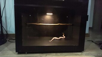 Terárium ubikace - 3