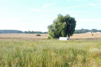 Pozemky v obci Blatná - 3