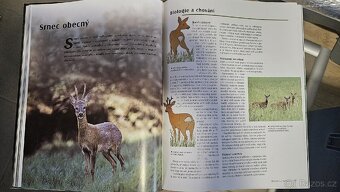 Kniha Myslivost - 3