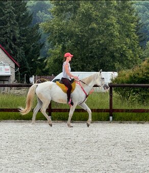 Hodný Valach - 3