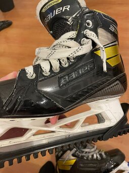 Bauer brusle - 3