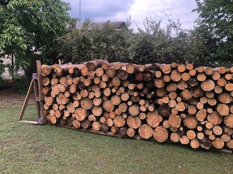 Palivové dřevo - 3