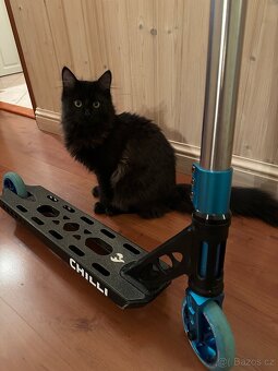 Freestyle koloběžka - 3