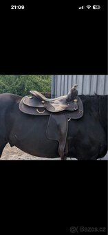 Reining sedlo DD - 3