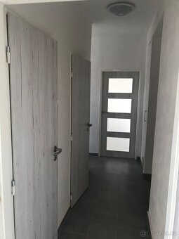 Pronájem bytu 2+1 Louny - 3