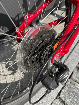 Hotrock 20 Specialized - 3