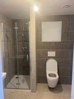Nabízím pronájem bytu 1kk s předzahrádkou-Chlumec - 3
