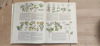 Příroda v ČSSR - 3