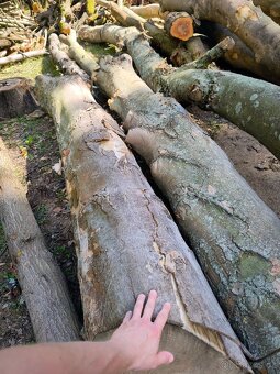 Prodám převážně Tvrdé listnaté dřevo - 3