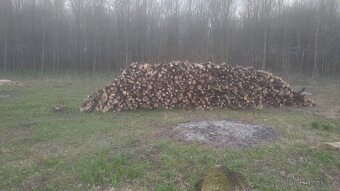 Palivové dřiví - 3