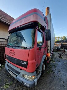 Dily Daf LF - 3