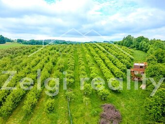 Polom - Jabloňový sad 9760m² s zahradním domkem na prodej - 3
