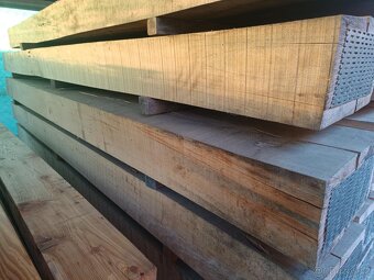 Pražce bukové prodej - 3