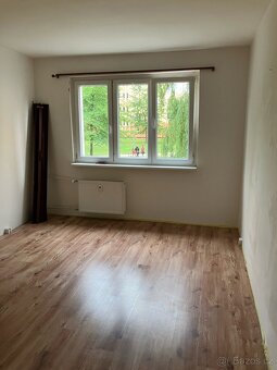 Prodej bytu 2+1, Chodov, Osadní - 3