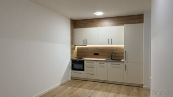 Pronájem bytu 1+kk, Vrbenská, České Budějovice 4, 15000 Kč/m - 3