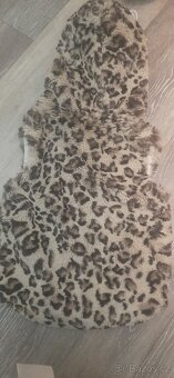 Next vesta 1- 2 roky - 3