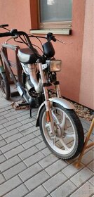 Moped 50cmm - 3