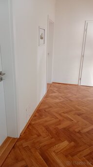 Pronajmu byt 2+1 - 3