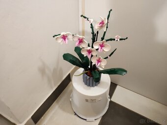 ORIGINÁLNÍ LEGO Botanicals 10311 Orchidej & 40460 Růže - 3