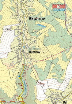 Prodej lesa 4932 m2 ve Skuhrově - 3