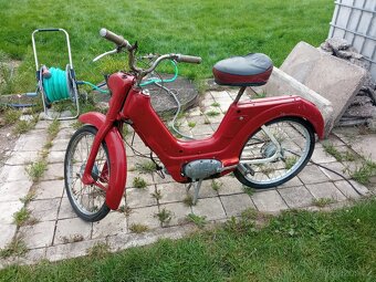 Jawetta 551 - 3