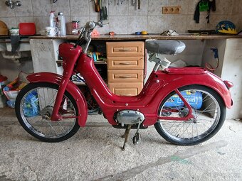 Jawetta - 3