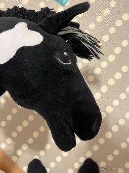 Hobby Horse - 3
