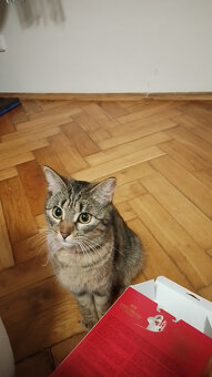 Lili a Neli - 3