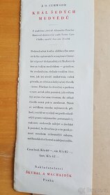 Král šedých medvědů - 3