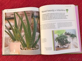 Gutsy Leadership,Monet, Pokojové rostliny - 3