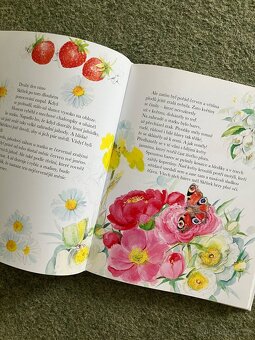 Skřítek rozekvítek - 3