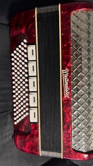 Weltmeister Gigantilli IV - 3