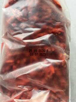 Goji (Kustovnice čínská) - 3
