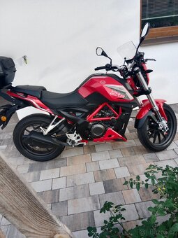 Benelli BN 251 - 3