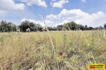 Sebranice - zahrada, příjezdová asfaltová komunikace, oploce - 3