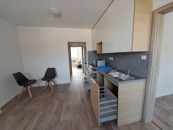 PRONÁJEM BYTU 3+kk,PALACKÉHO, POLNÁ 58813 - 3