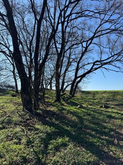 Prodám pozemky v katastrálním území Jevišovice - 3