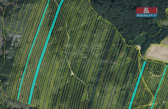 Prodej lesa, 28654 m², Nová Hradečná - 3
