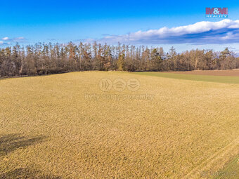 Prodej louky, 11767 m², Benešov - 3