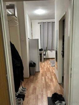 Pronajmu 1+1 na Litoměřické (Staré Město) Děčín - 3