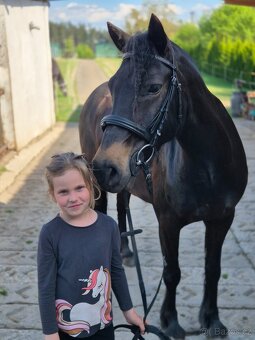 Sportovní pony - 3