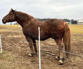 Valach pro začátečníky - 3