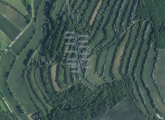 Zemědělská půda, prodej, Boleradice, Břeclav - 3