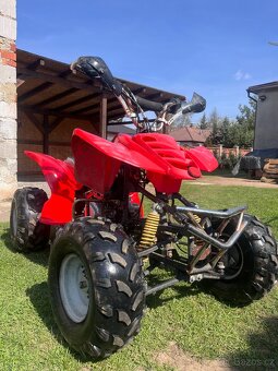 Čtyřkolka 250ccm - 3