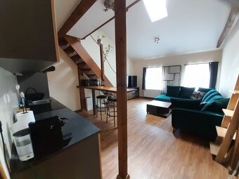 Pronájem bytu 1+kk, 52m2 - 3