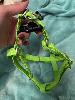 Vodítko a kšíry - 3