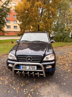 Ml w163 - 3