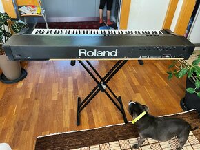 Roland RD-300S 88-Klaves Digital Piano - 3