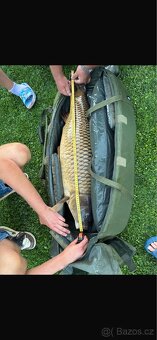 Trofejní kapři 10-17KG - 3