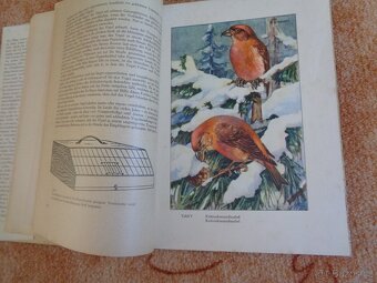 Kniha o chovu ptáků z roku 1954 v němčině - 3